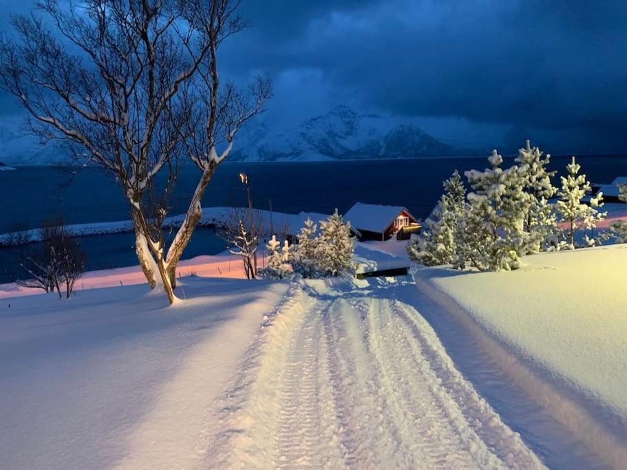 Leilighet I Rorbu Pa Kaldfarnes - Yttersia Senja Экстерьер фото